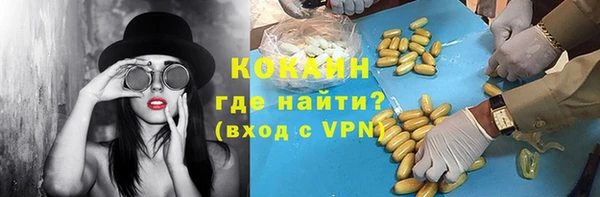 соль ск Лиски