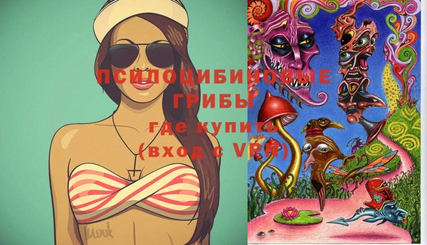индика Домодедово